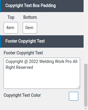 set Footer section